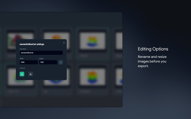 BMP Export dashboard preview