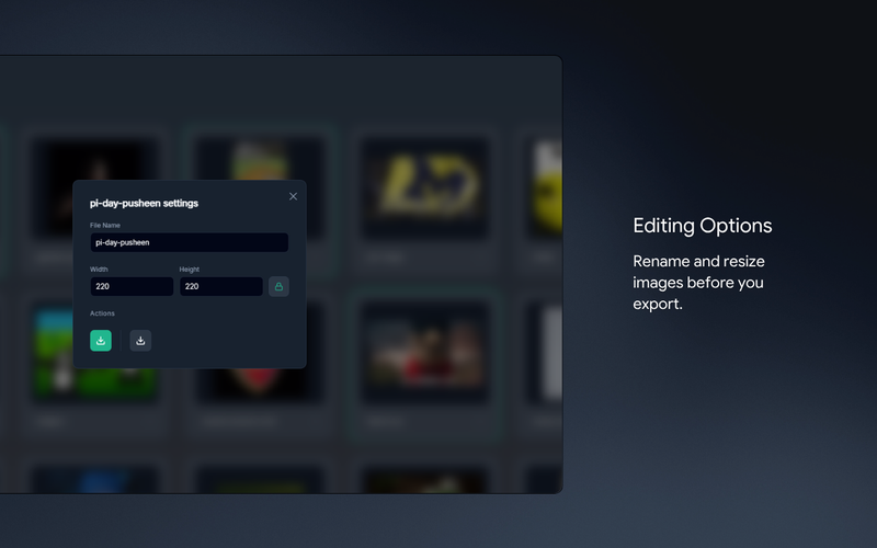 GIF Export dashboard preview