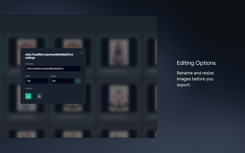 JPG Export dashboard preview